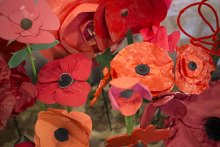 Head's Blog: Remembrance Commemorations