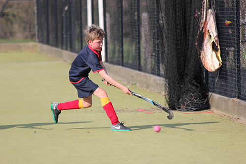 County Hockey Success