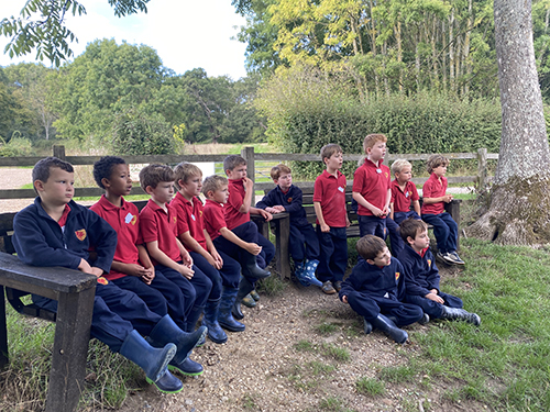 Year 2 at Rushall Farm