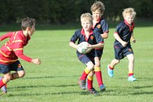 Spotlight on...Rugby