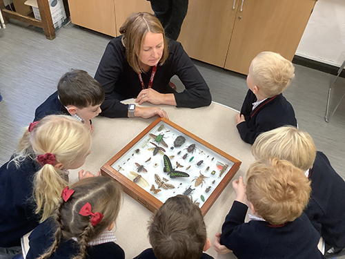 Reception Trip to National History Museum