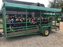 Year 2 Trip to Rushall Farm