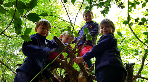 Forest School Day