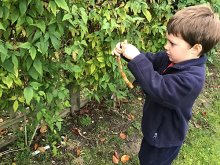 Moulsford Eco Initiatives