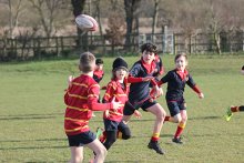 Touch Rugby Returns