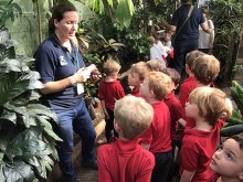 Reception Trip to The Living Rainforest, Hampstead Norreys