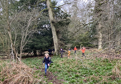 Year 4 Forest School