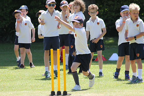 Year 2 and 3 cricket