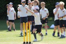 Year 2 and 3 cricket