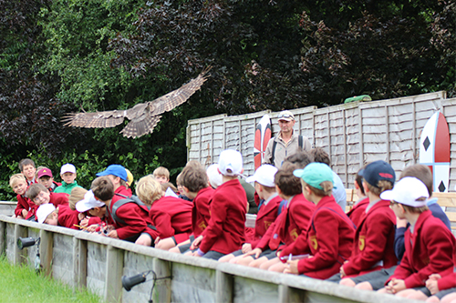 Year 3 Trip to the Hawk Conservancy