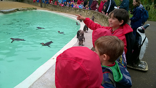 Pre-Prep Trip to Cotswold Wildlife Park