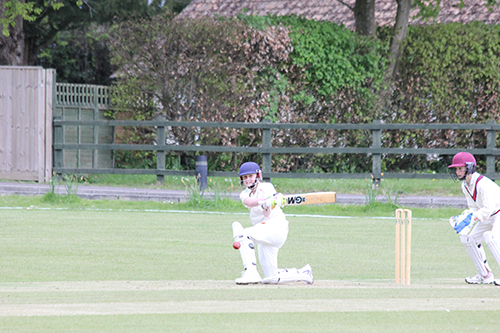 Cricket fixtures return