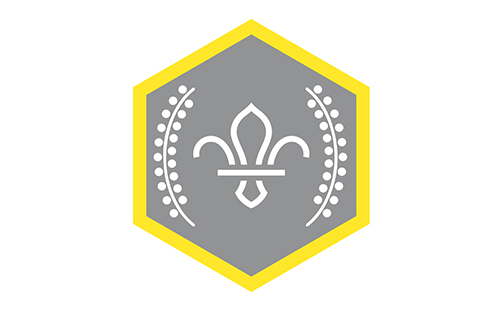 Chief Scouts Silver Award