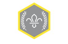 Chief Scouts Silver Award