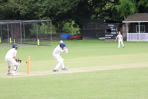 House Cricket